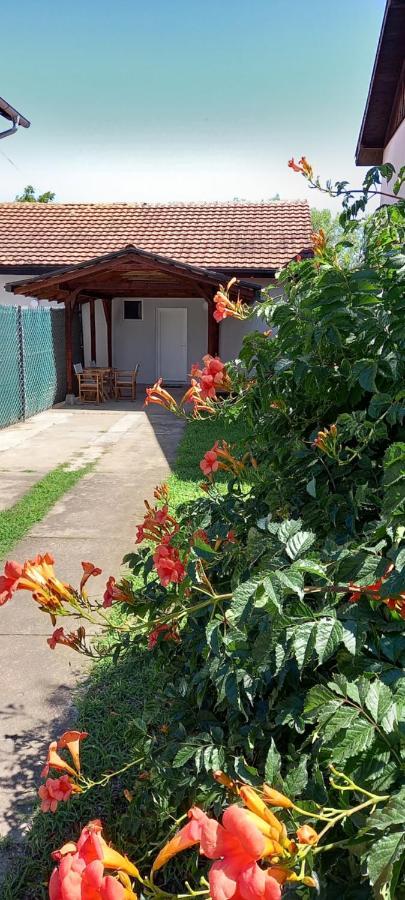 Apartament Lena! Kladovo Zewnętrze zdjęcie